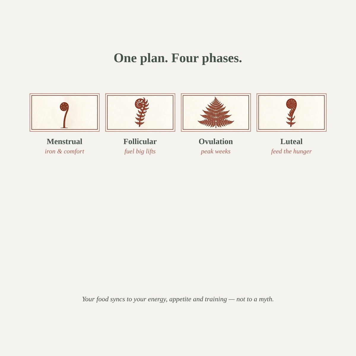 Prep and Flow infographic showing the four cycle phases: menstrual, follicular, ovulation and luteal