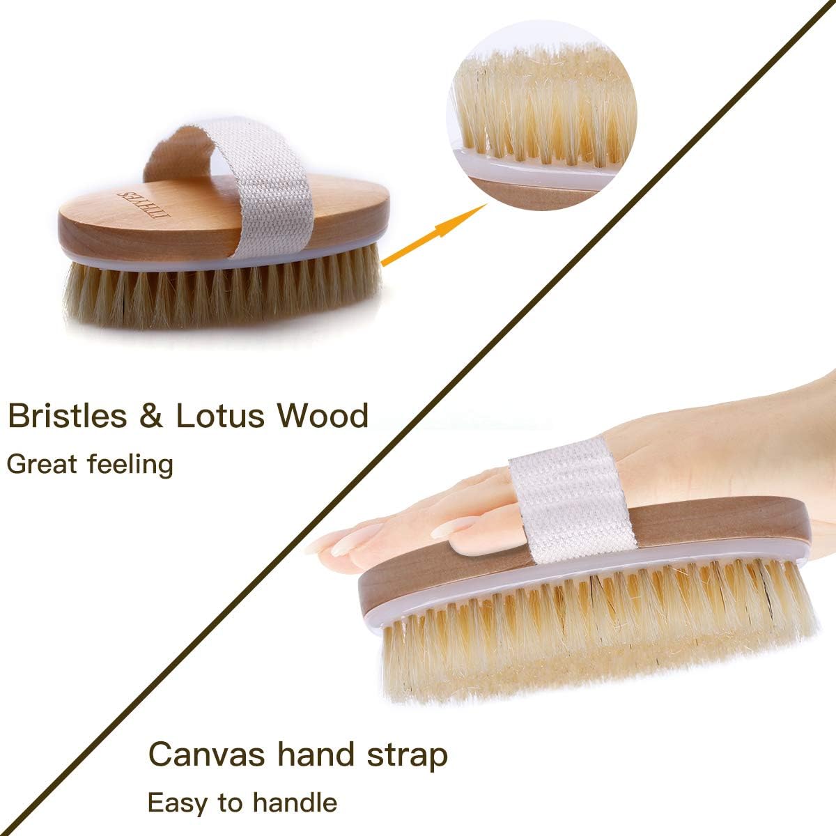 Listing infographic showing the brush bristles in close-up with the caption Bristles and Lotus Wood, plus a hand slipped under the canvas strap
