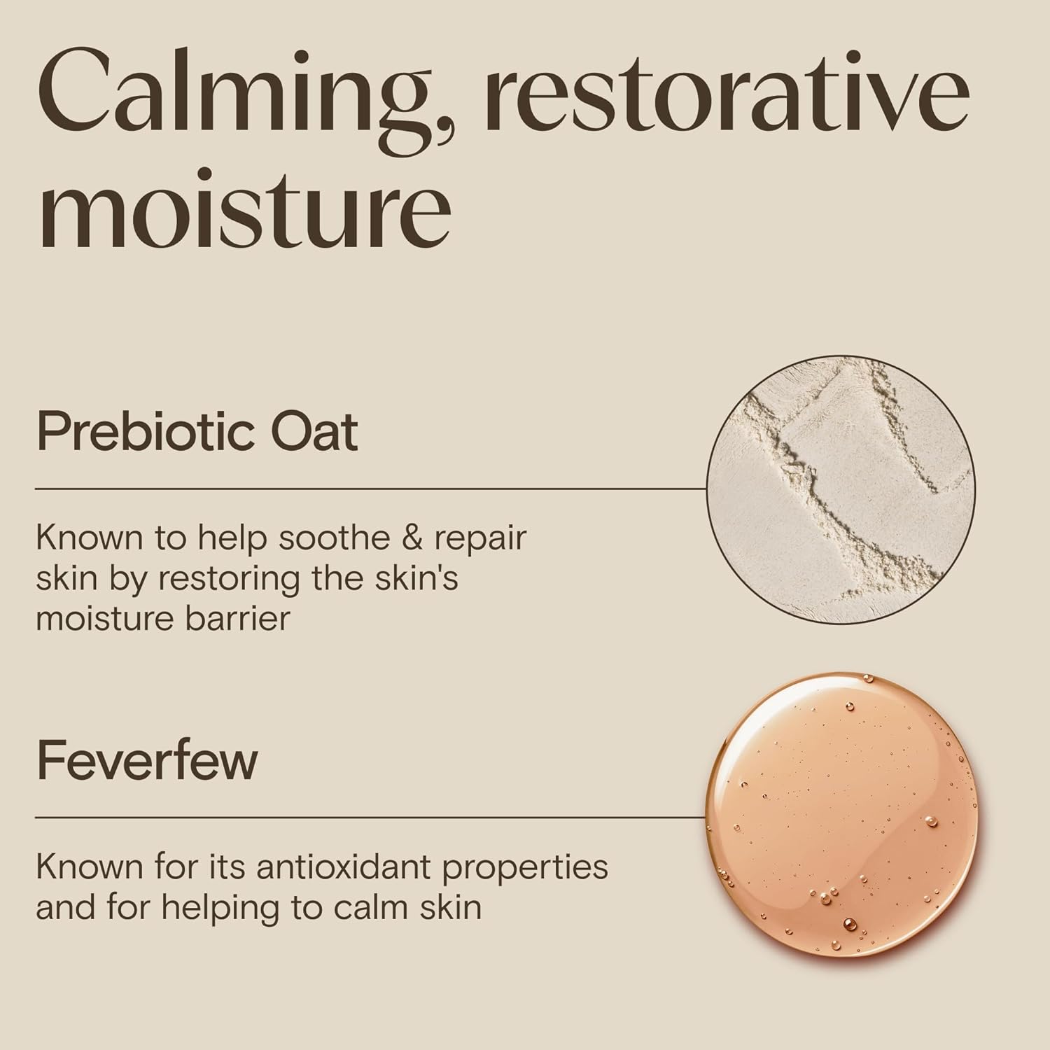 Infographic showing Prebiotic Oat and Feverfew, the two key ingredients in the Aveeno Calm Restore gel moisturiser