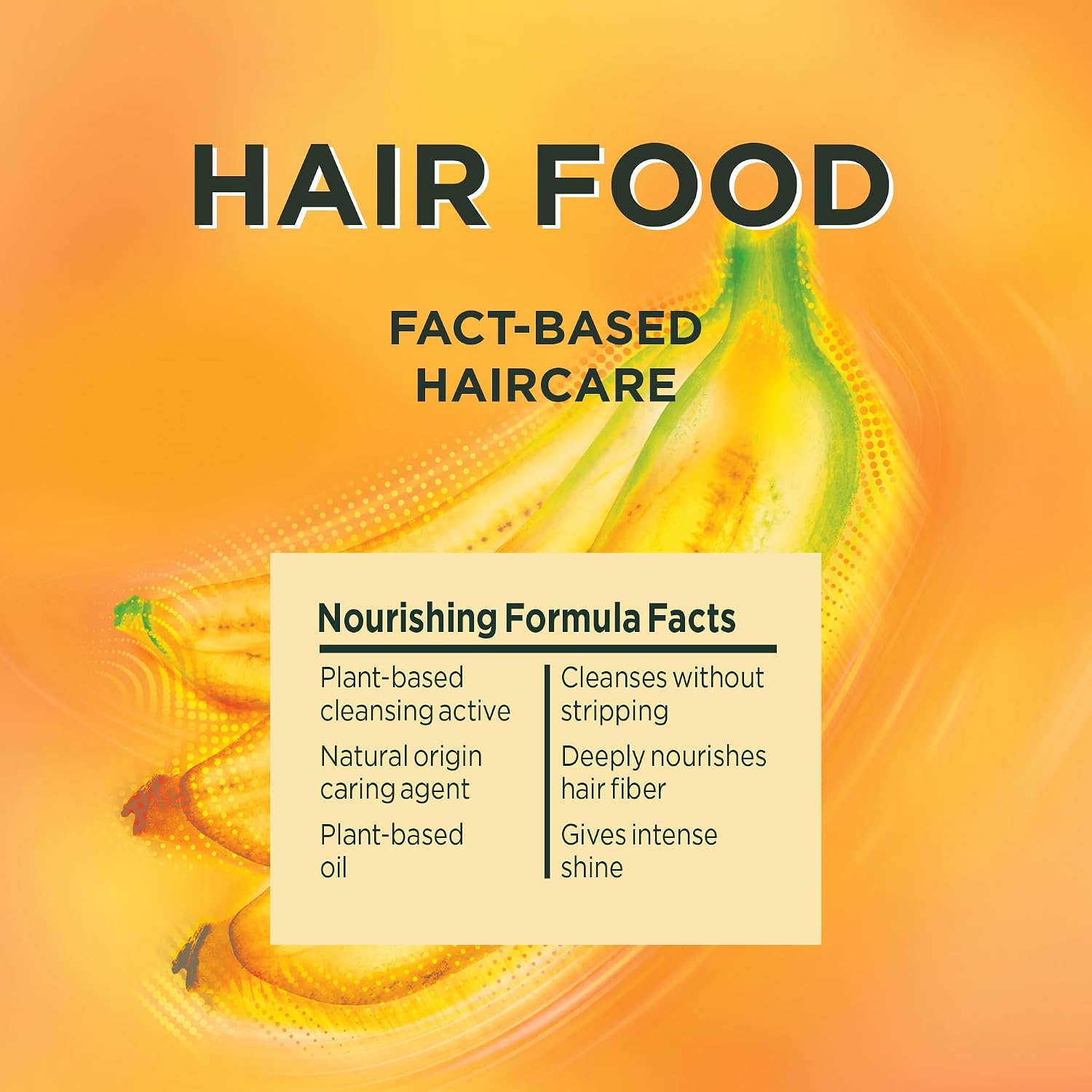 Garnier Hair Food infographic listing nourishing formula facts including plant-based oil and natural origin caring agent